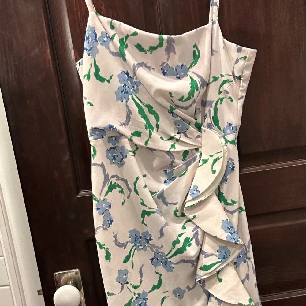 Panel Gurung Floral Ruffle Dress - Picture 4 of 4